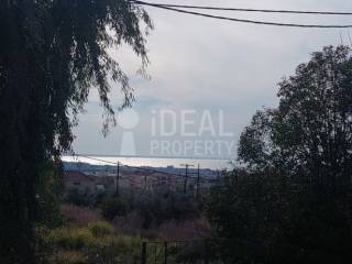 Οικόπεδο Εγλυκάδα