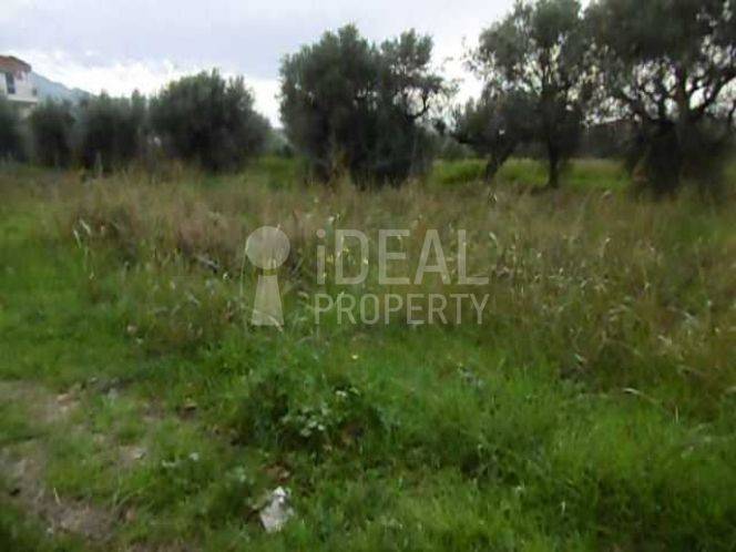 Οικόπεδο Μποζαϊτικα