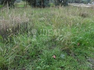 Οικόπεδο Μποζαϊτικα