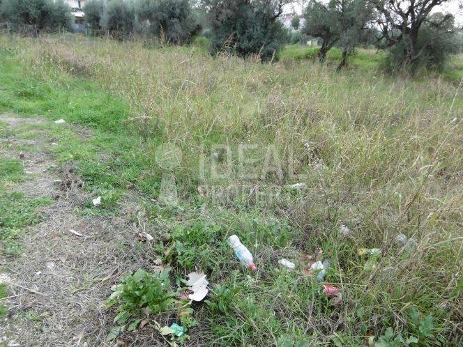 Οικόπεδο Μποζαϊτικα