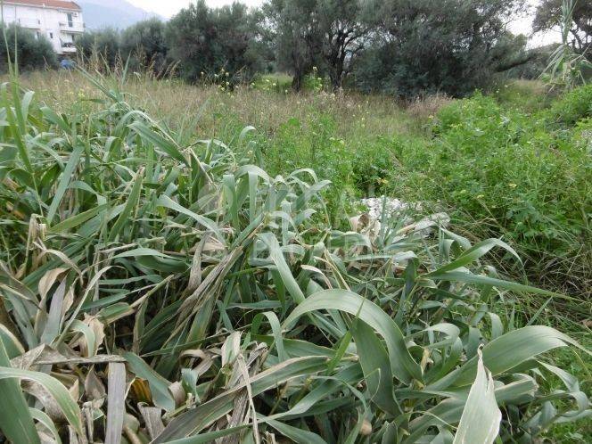 Οικόπεδο Μποζαϊτικα