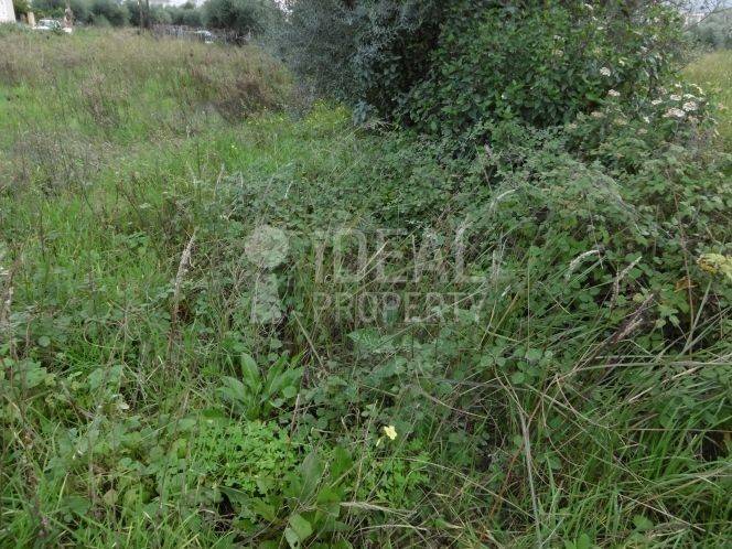 Οικόπεδο Μποζαϊτικα