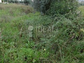 Οικόπεδο Μποζαϊτικα