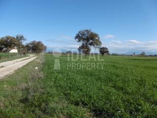 Αγροτεμάχιο