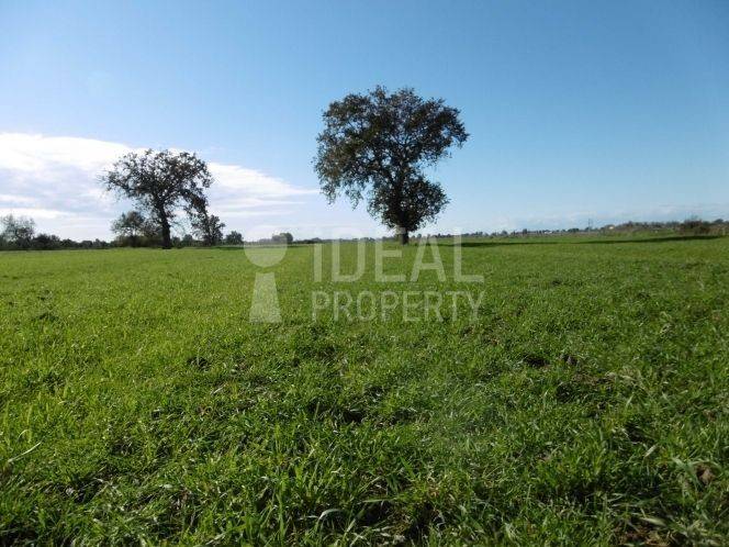 Αγροτεμάχιο