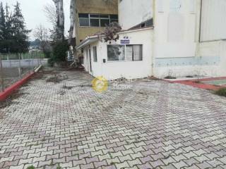 Ανελκυστήρας