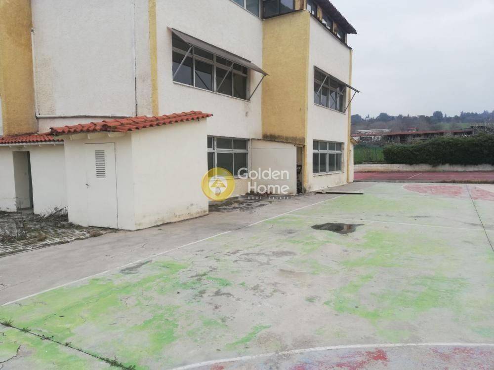 Ανελκυστήρας