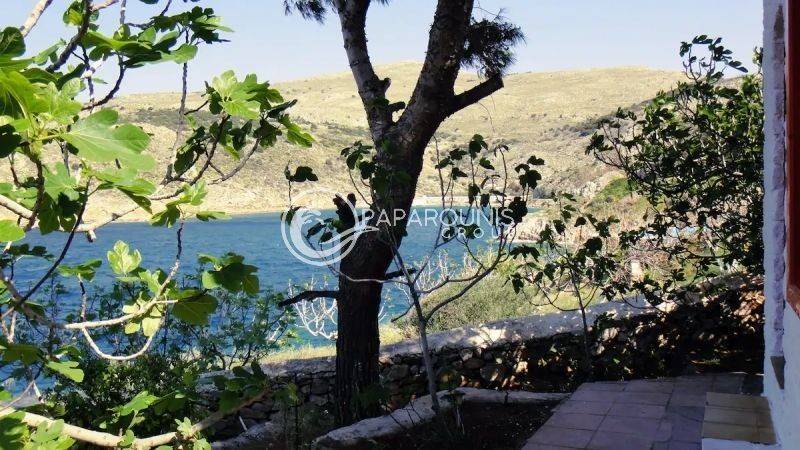 Ύπαρξη ανθρώπου