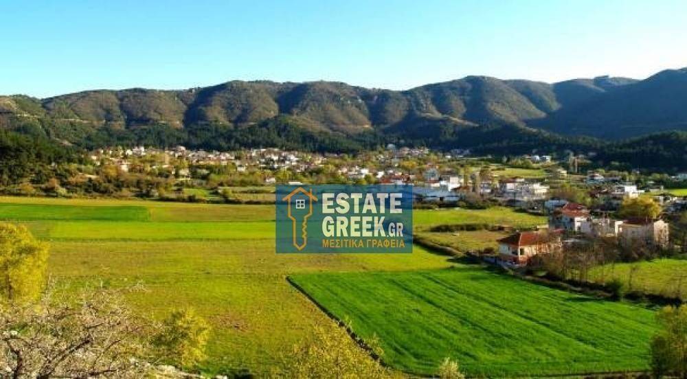 Πωλείται οικόπεδο 483 τ.μ., στα ΑΜΙΣΙΑΝΑ Ν. Καβάλας (κωδ. 5541)