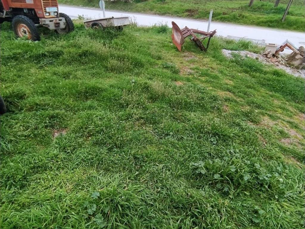 ANYPLACE MESITIKES YPERESIES