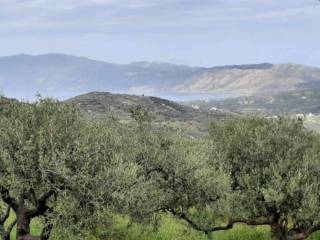 ΤΗΛΕΦΩΝΟ ΕΠΙΚΟΙΝΩΝΙΑΣ : 2310765495 // 6987494959  ΚΑΡΑΟΥΛΑΝΗ