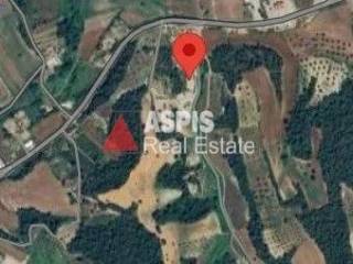 Εξωτερικοι χώροι