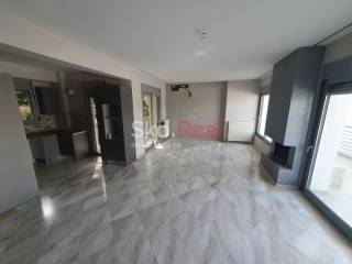 Σαλοκουζίνα