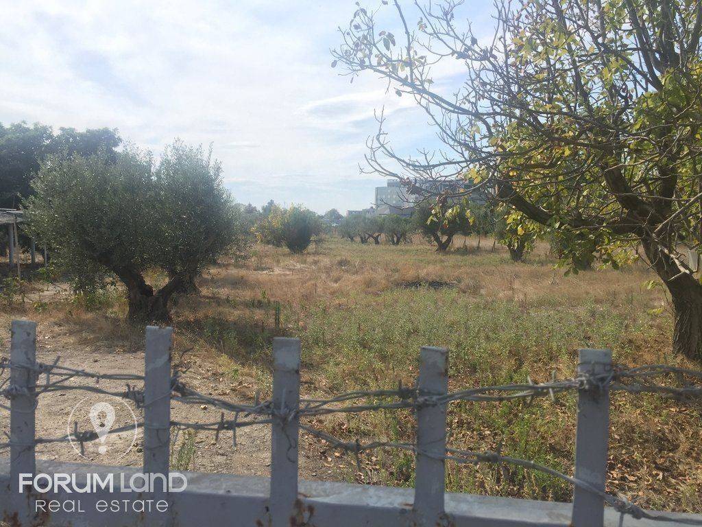 Forumland Real Estate, 5.000τμ αγροτεμάχιο