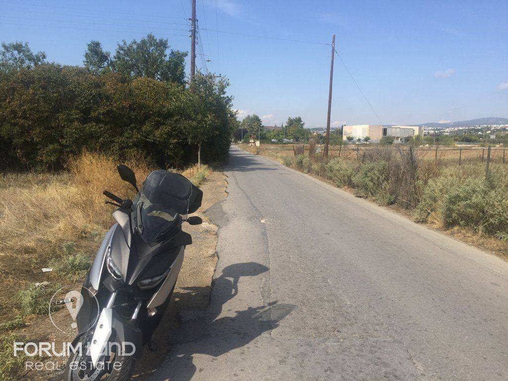 Forumland Real Estate, 5.000τμ αγροτεμάχιο