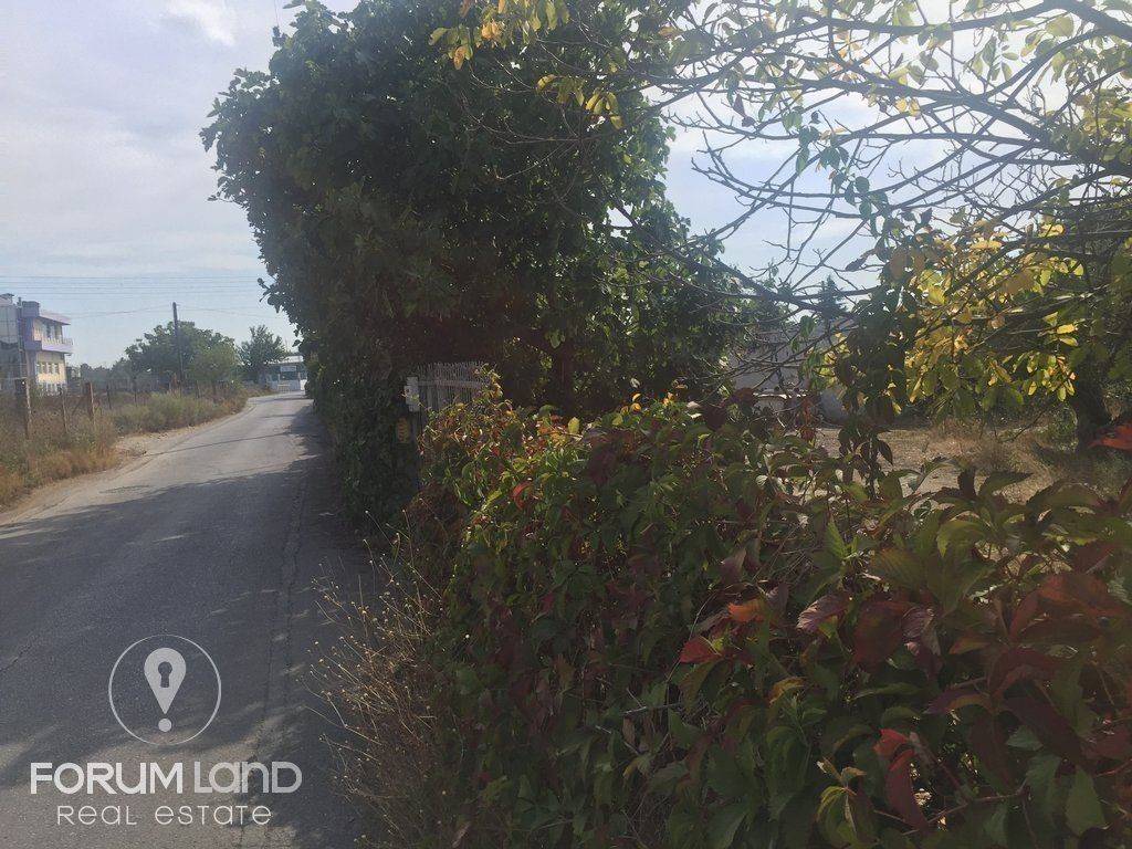 Forumland Real Estate, 5.000τμ αγροτεμάχιο