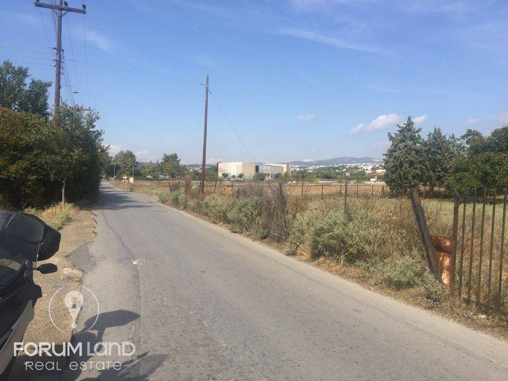 Forumland Real Estate, 5.000τμ αγροτεμάχιο