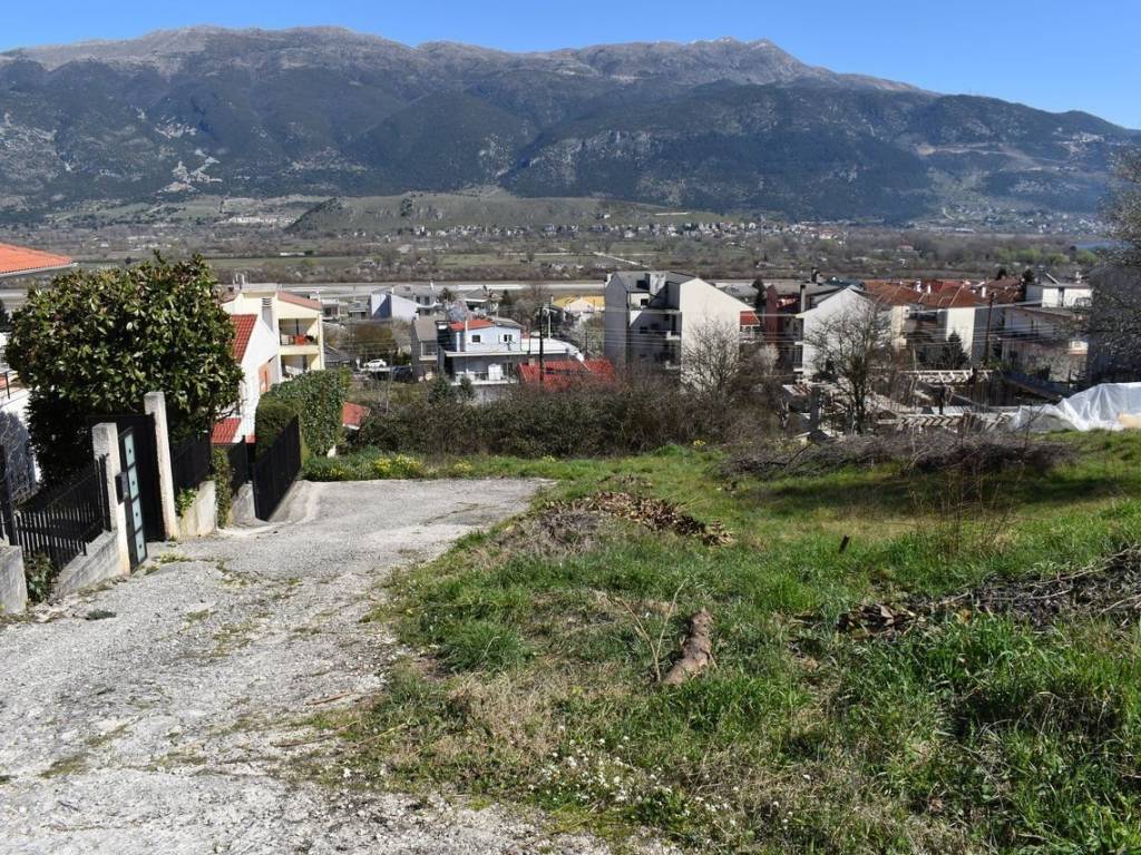 ΑΠΟΨΗ ΟΙΚΟΠΕΔΟΥ