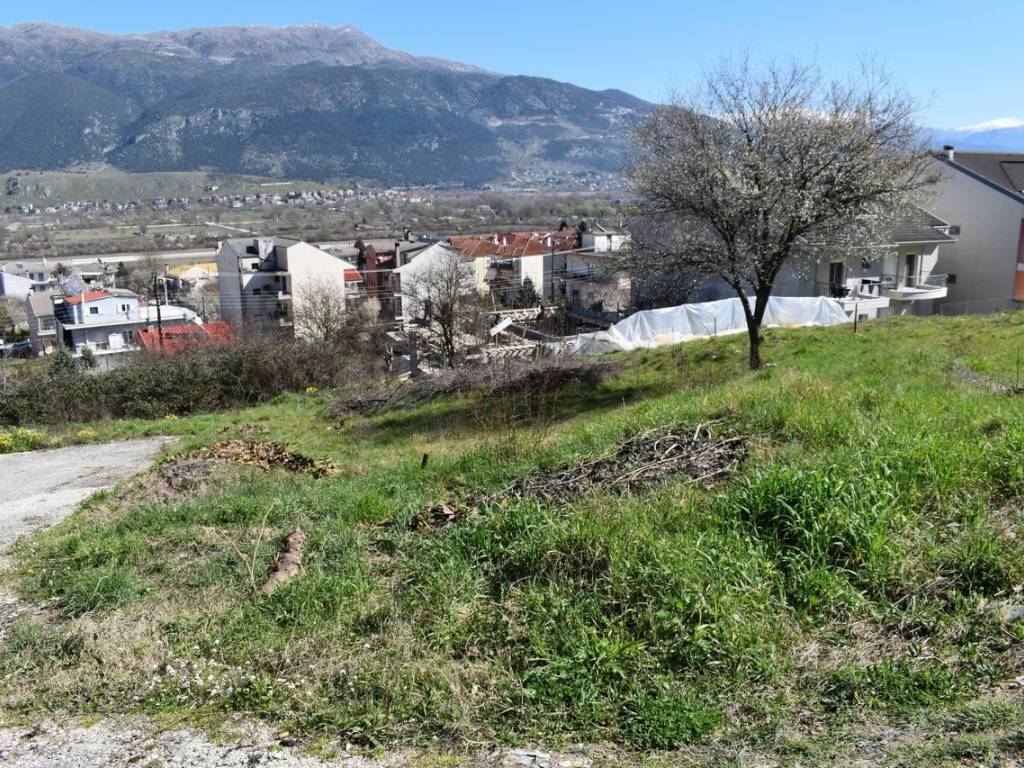 ΑΠΟΨΗ ΟΙΚΟΠΕΔΟΥ