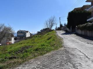 ΑΠΟΨΗ ΟΙΚΟΠΕΔΟΥ