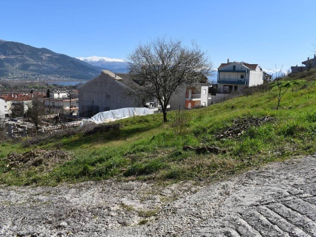 ΑΠΟΨΗ ΟΙΚΟΠΕΔΟΥ