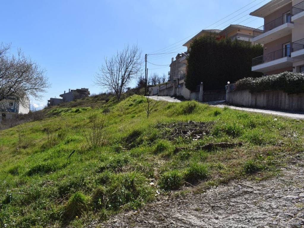 ΑΠΟΨΗ ΟΙΚΟΠΕΔΟΥ