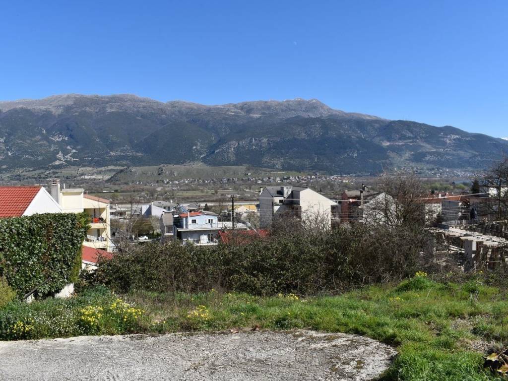 ΑΠΟΨΗ ΟΙΚΟΠΕΔΟΥ