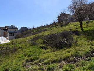 ΑΠΟΨΗ ΟΙΚΟΠΕΔΟΥ