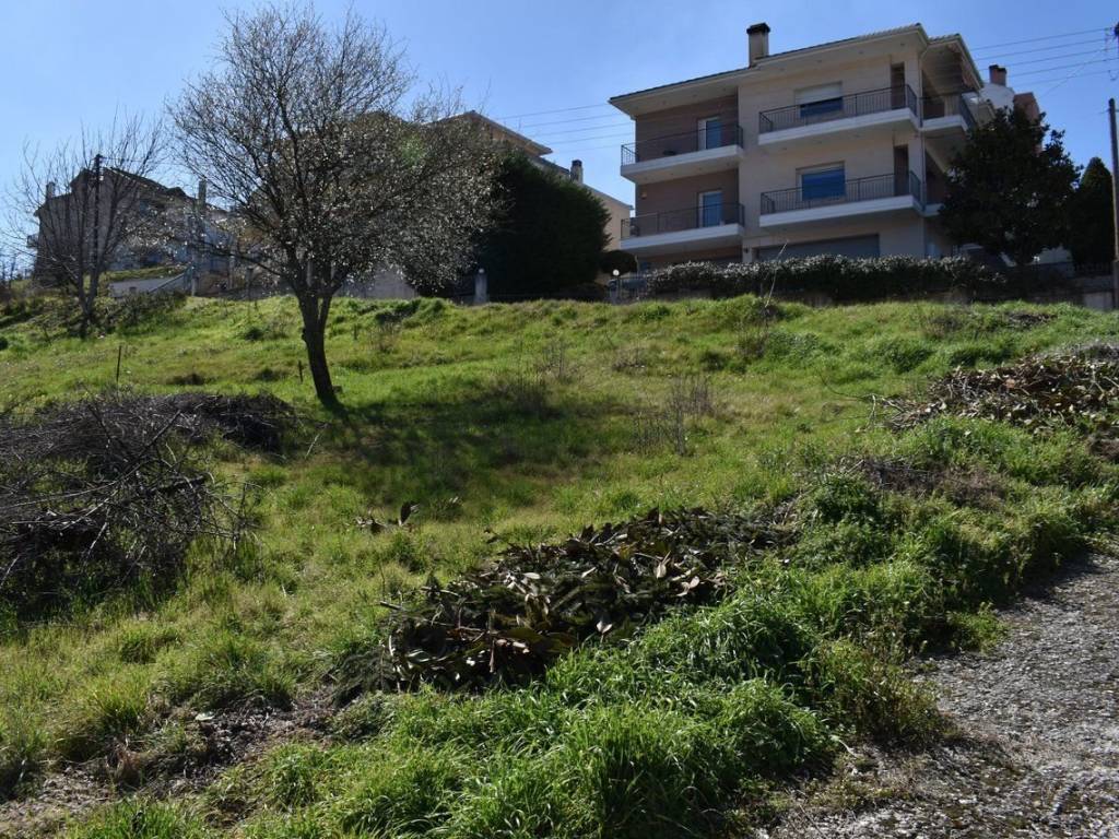 ΑΠΟΨΗ ΟΙΚΟΠΕΔΟΥ