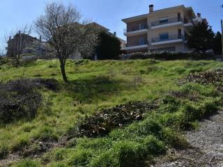 ΑΠΟΨΗ ΟΙΚΟΠΕΔΟΥ