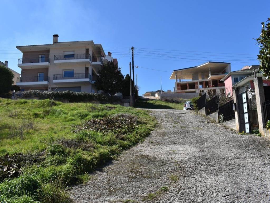 ΑΠΟΨΗ ΟΙΚΟΠΕΔΟΥ