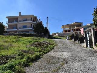 ΑΠΟΨΗ ΟΙΚΟΠΕΔΟΥ