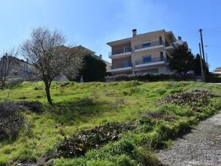 ΑΠΟΨΗ ΟΙΚΟΠΕΔΟΥ