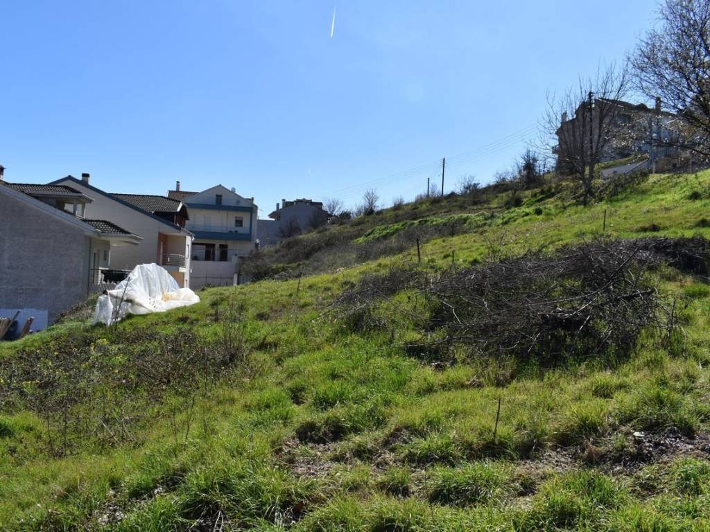 ΑΠΟΨΗ ΟΙΚΟΠΕΔΟΥ