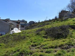 ΑΠΟΨΗ ΟΙΚΟΠΕΔΟΥ