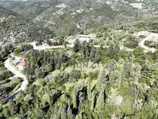 To agrotemachio apo psela