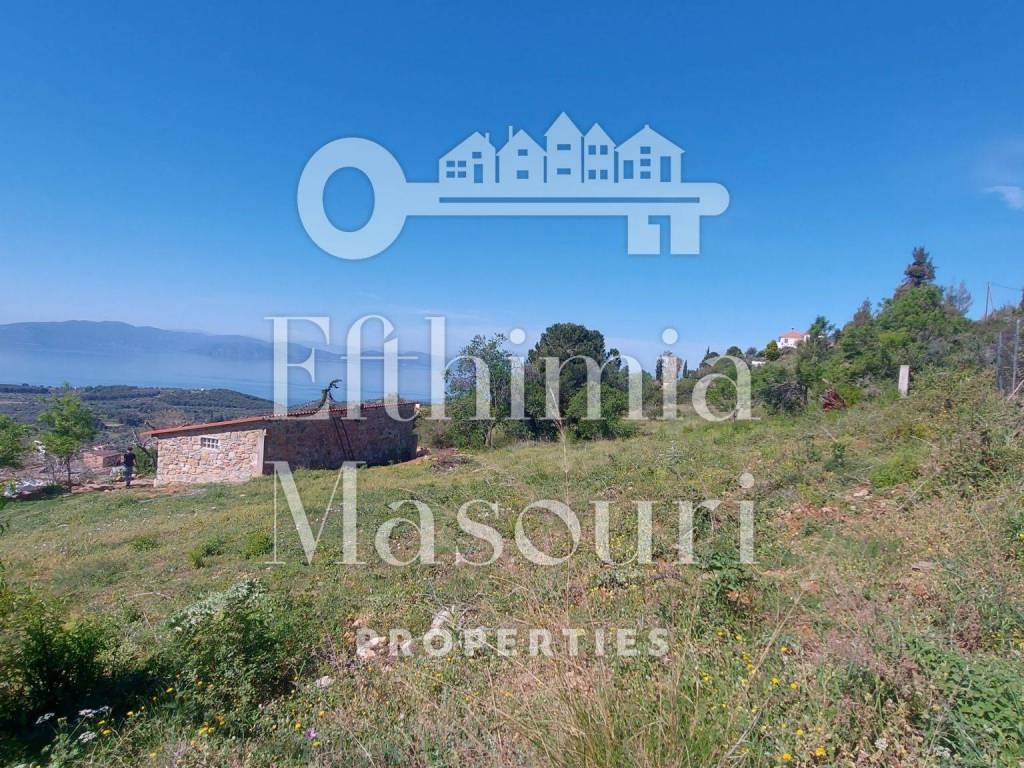 Εξωτερικοι χώροι