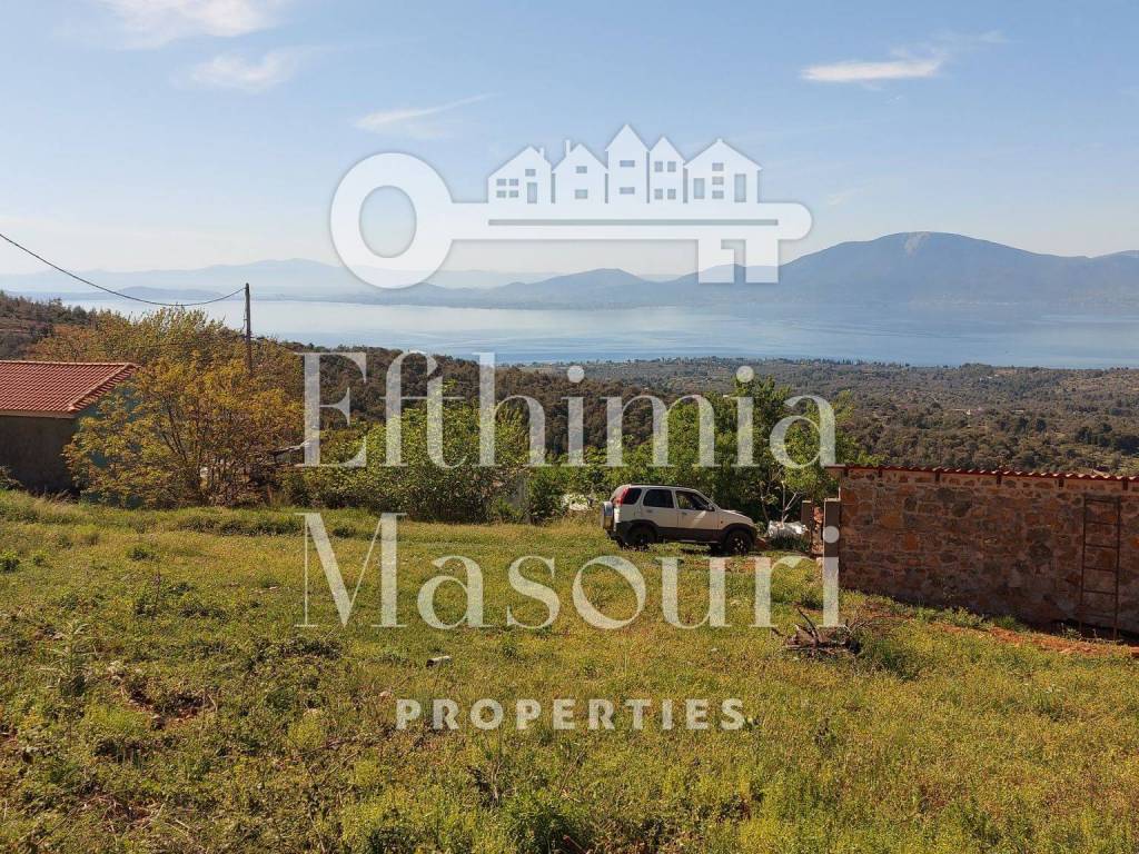 Εξωτερικοι χώροι