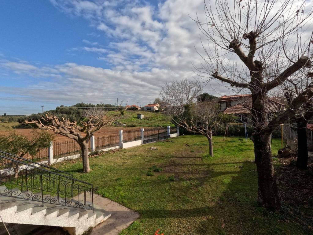 ΚΗΠΟΣ ΣΤΗΝ ΠΙΣΩ ΜΕΡΙΑ ΤΟΥ ΟΙΚΟΠΕΔΟΥ