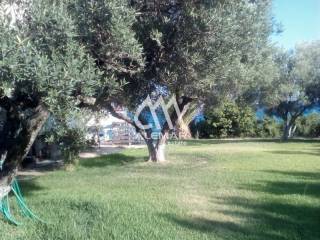 Ύπαρξη ανθρώπου