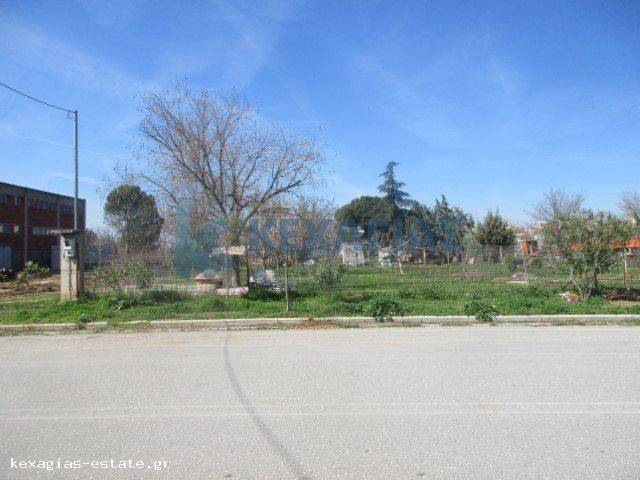 ΕΞΩΤΕΡΙΚΗ ΛΗΨΗ