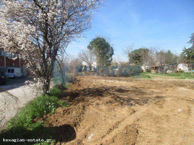 ΕΞΩΤΕΡΙΚΗ ΛΗΨΗ