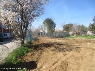 ΕΞΩΤΕΡΙΚΗ ΛΗΨΗ