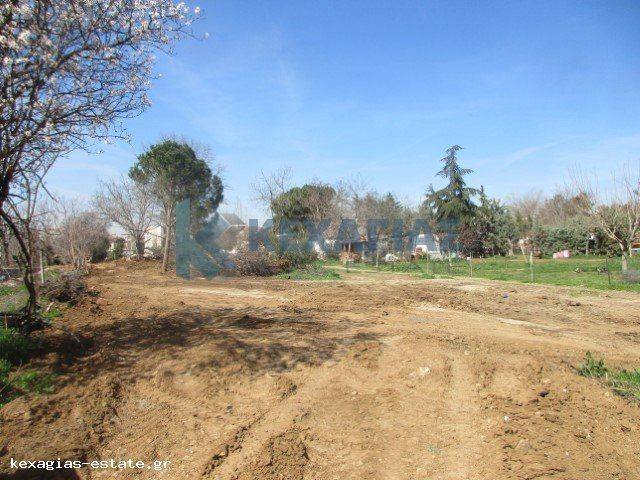 ΕΞΩΤΕΡΙΚΗ ΛΗΨΗ