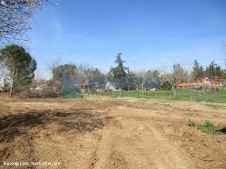 ΕΞΩΤΕΡΙΚΗ ΛΗΨΗ