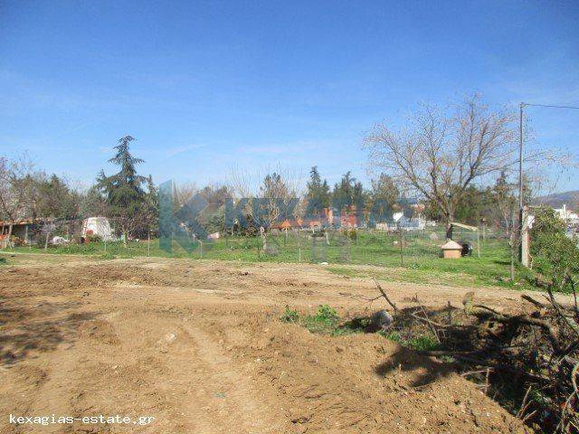 ΕΞΩΤΕΡΙΚΗ ΛΗΨΗ