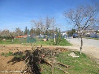 ΕΞΩΤΕΡΙΚΗ ΛΗΨΗ