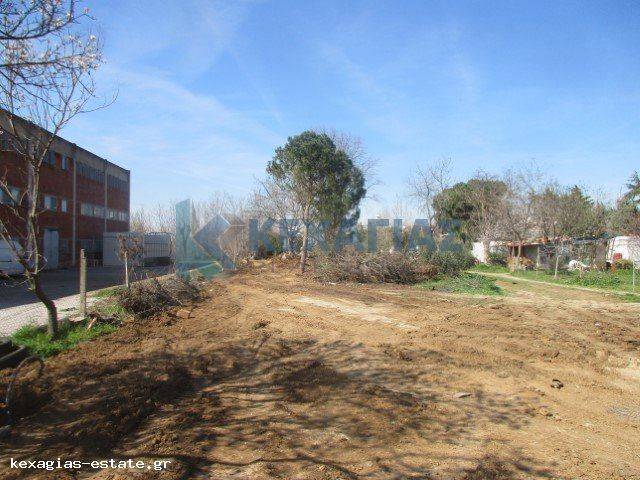 ΕΞΩΤΕΡΙΚΗ ΛΗΨΗ