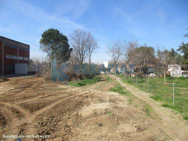 ΕΞΩΤΕΡΙΚΗ ΛΗΨΗ