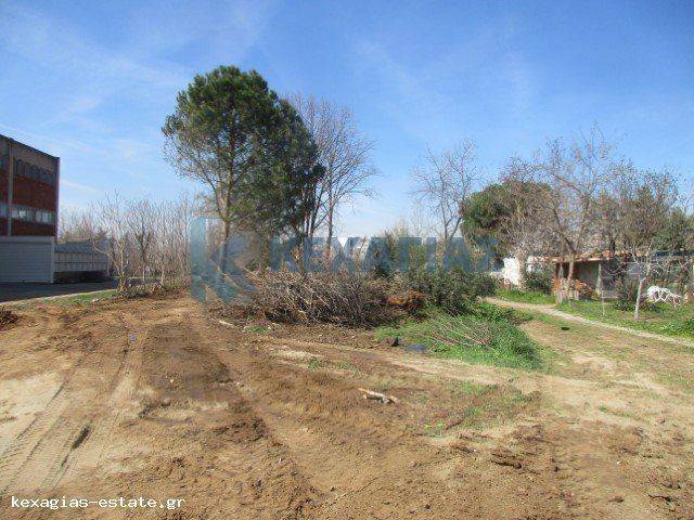 ΕΞΩΤΕΡΙΚΗ ΛΗΨΗ